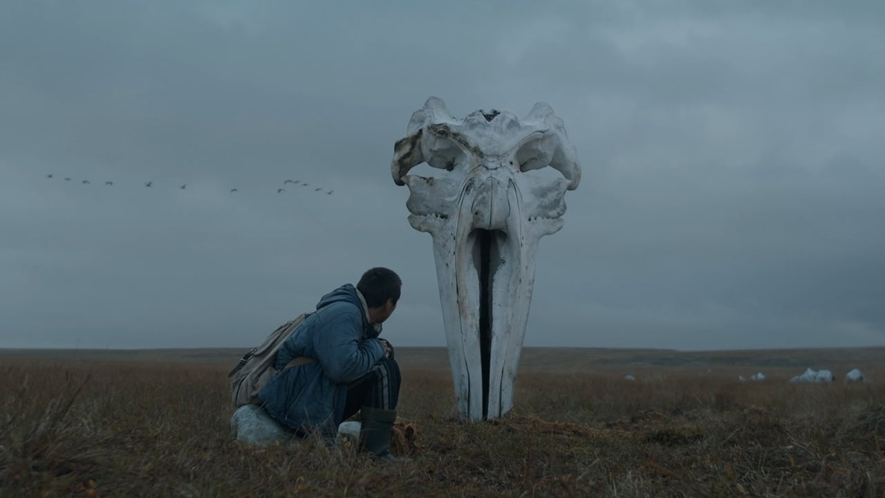 Kitoboy (2020)