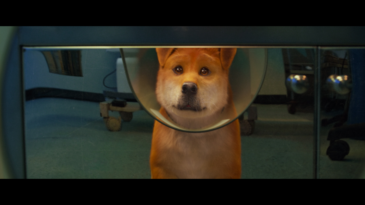 Пес из будущего (2025)
