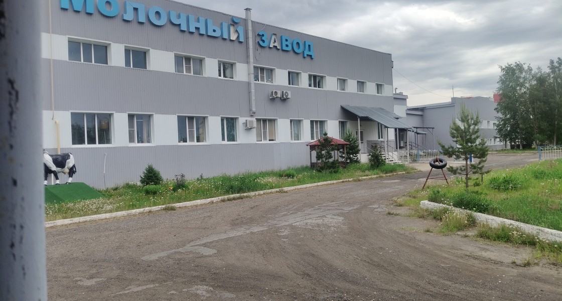 В Нижневартовске на молокозаводе нарушали требования к безопасности продуктов