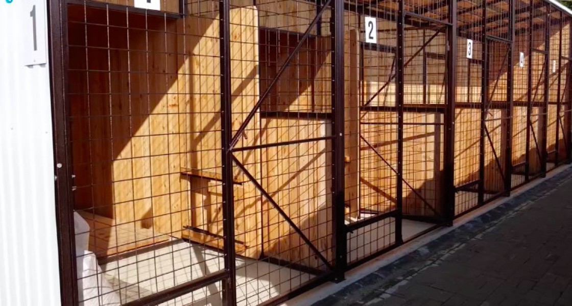 Власти ХМАО пересмотрели подход к решению проблемы бездомных животных