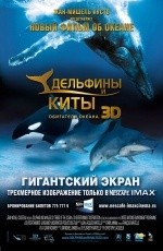 Дельфины и киты (2008)