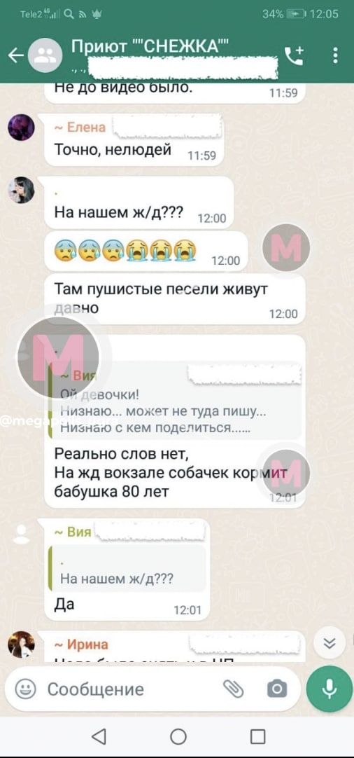 В Нижневартовске сотрудники вокзала жестоко разделались с собаками. ФОТО