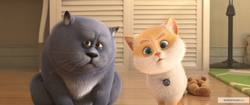 Большой кошачий побег (2018)