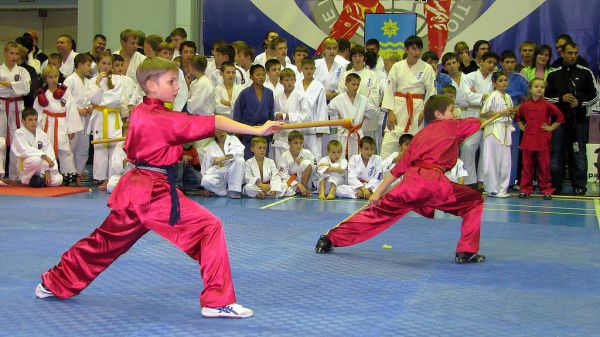 Чемпионат и первенство округа по ушу