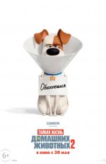 Тайная жизнь домашних животных 2 (2019)
