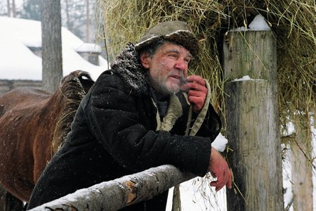 Живи и помни (2008)