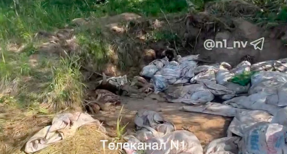 В Нижневартовске дачники снова обнаружили зловонный скотомогильник