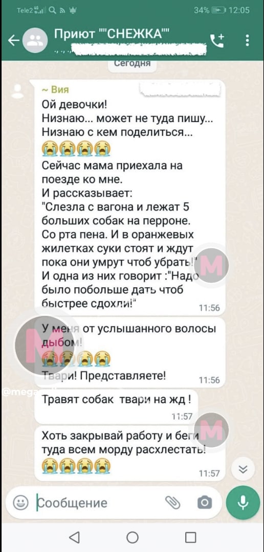 В Нижневартовске сотрудники вокзала жестоко разделались с собаками. ФОТО