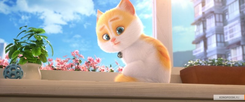 Большой кошачий побег (2018)