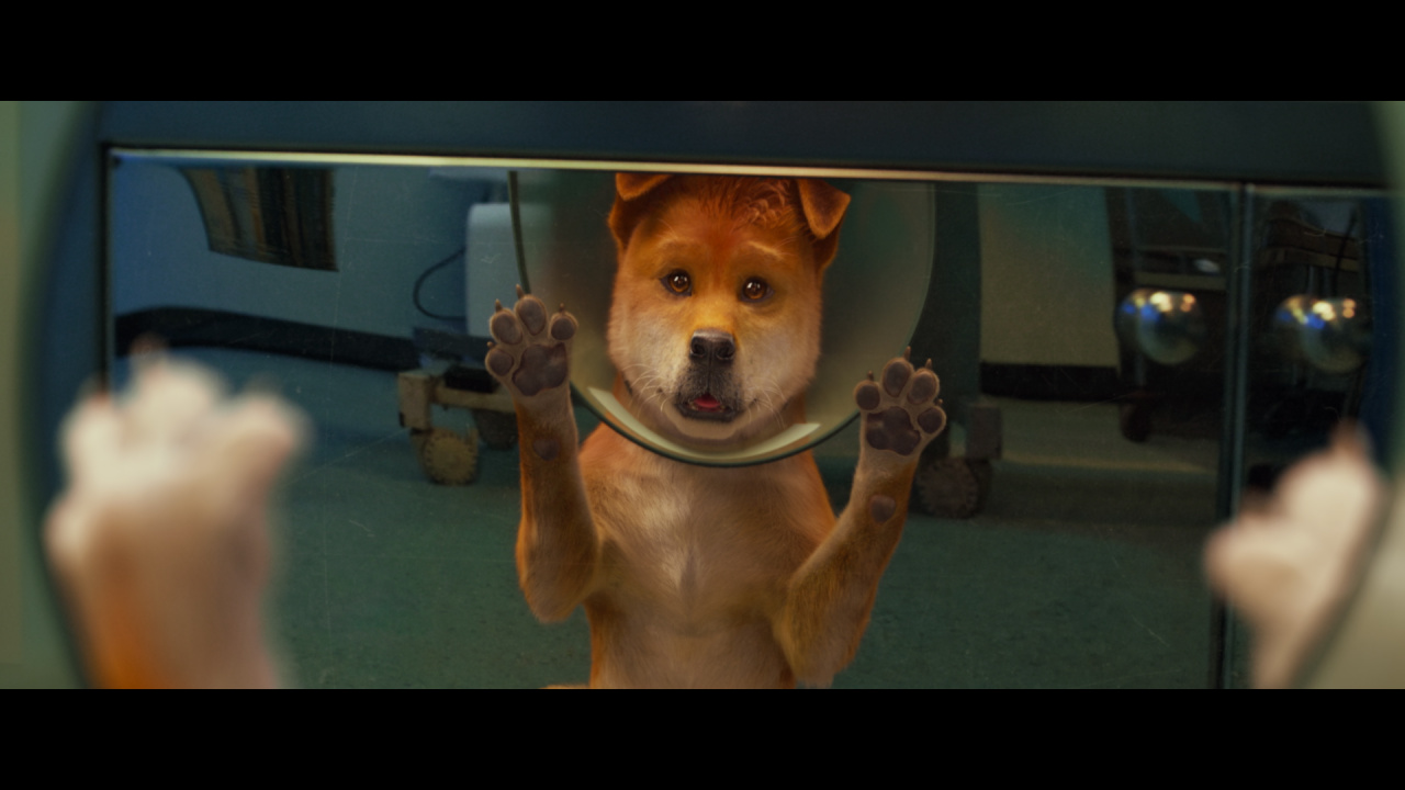 Пес из будущего (2025)