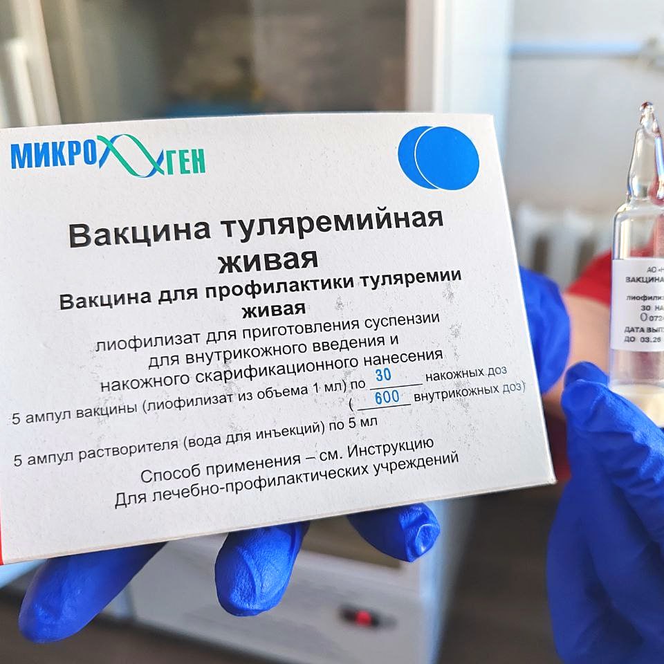 В Нижневартовске детей рекомендуют привить от опасной инфекции, которую переносят крысы