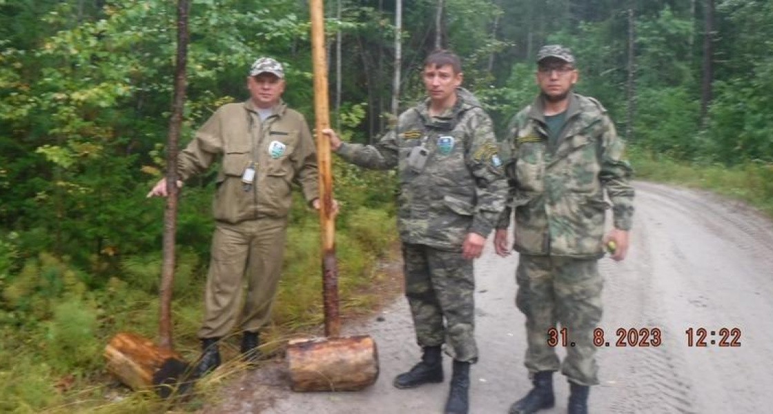 Природнадзор ХМАО поймал «черных шишкарей»