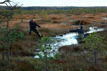Рассказы (2012)