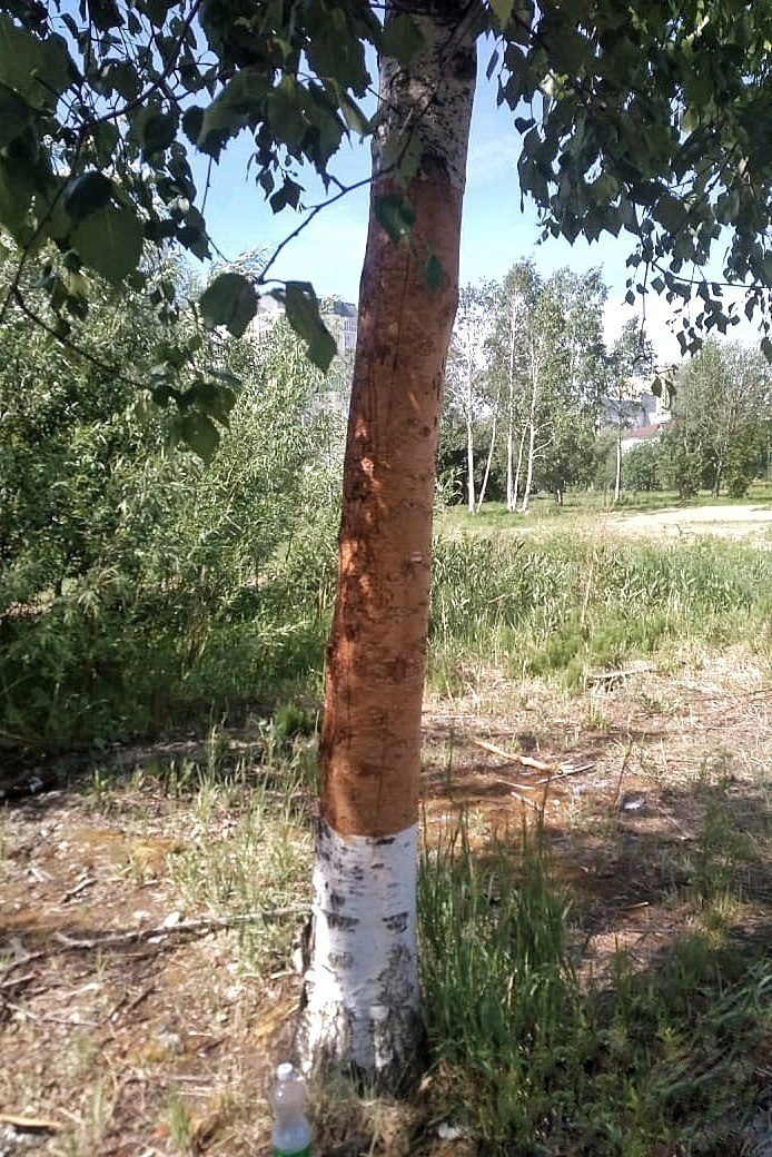 Фото: Осторожно ЮГРА / telegram
