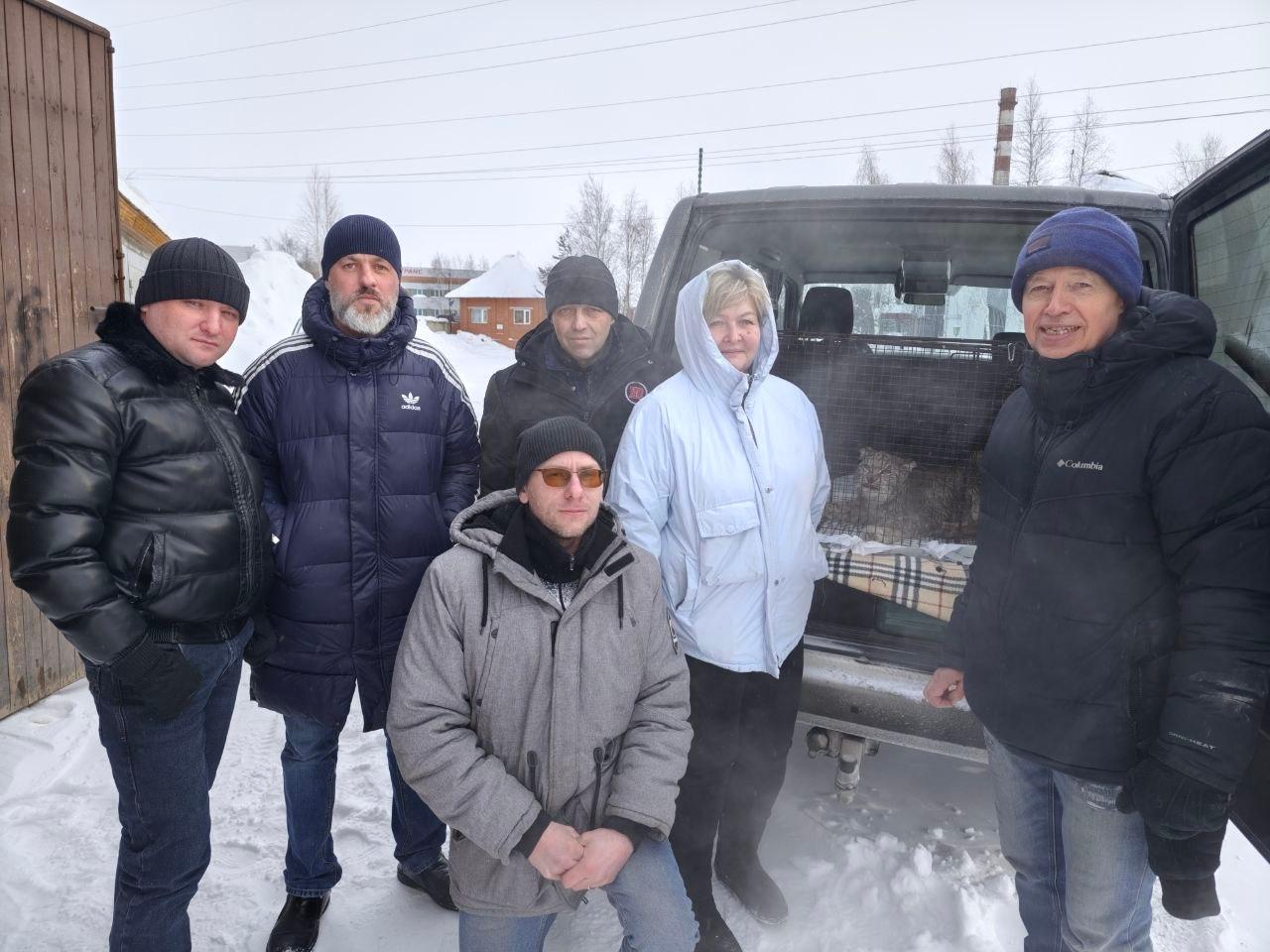 После общения с людьми рысь из Мегиона отправилась в реабилитационный центр