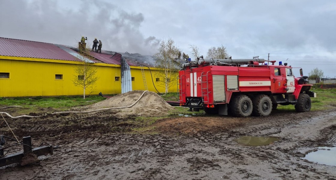В Нижневартовске вспыхнул пожар на птицефабрике