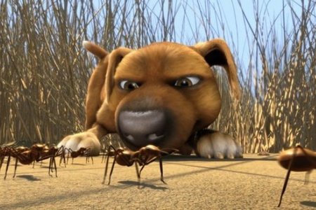 Джок (2011)