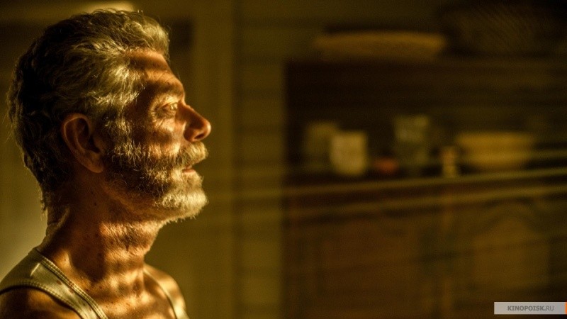 Не дыши (2016)