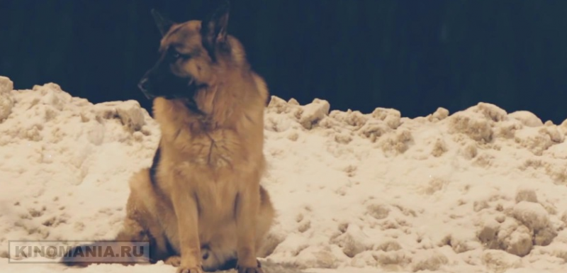 Костя (2016)