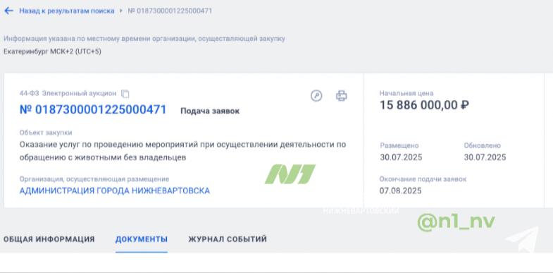 Бездомных собак из Сургутского района будут свозить в Нижневартовск
