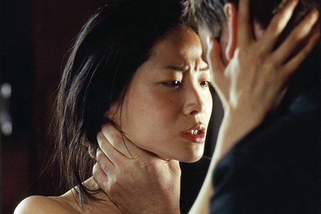 Инжу, зверь во тьме (2008)