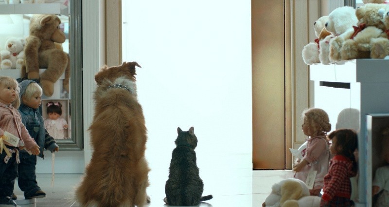 Страна хороших деточек (2013)