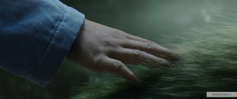 Пит и его дракон (2016)