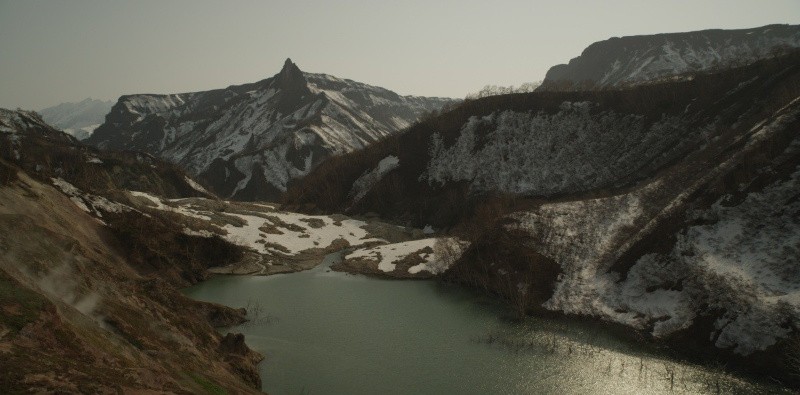 Земля медведей (2013)