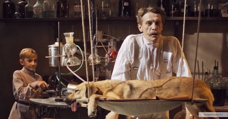 Излечить страх (2013)