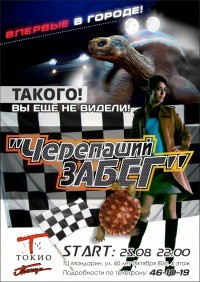 Черепаший забег