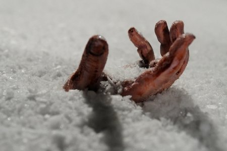 Замерзшие (2010)