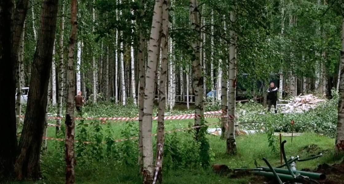 В Нижневартовске массово вырубают деревья в Парке Победы