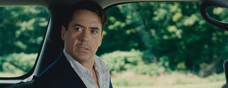Судья (2014)