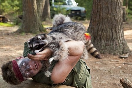 Месть пушистых  (2010)