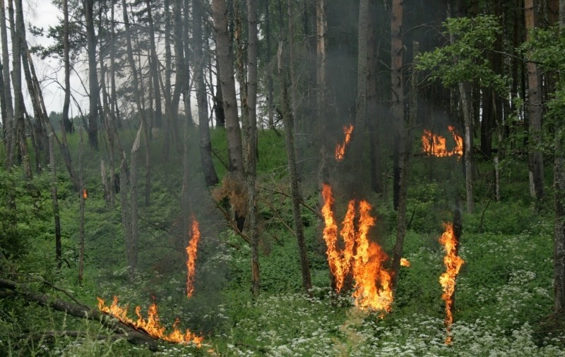 Это твой день (2013)