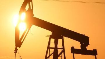 Открытие международной выставки «Нефть. Газ. Энерго-2013» Открытие международной выставки «Нефть. Газ. Энерго-2013»