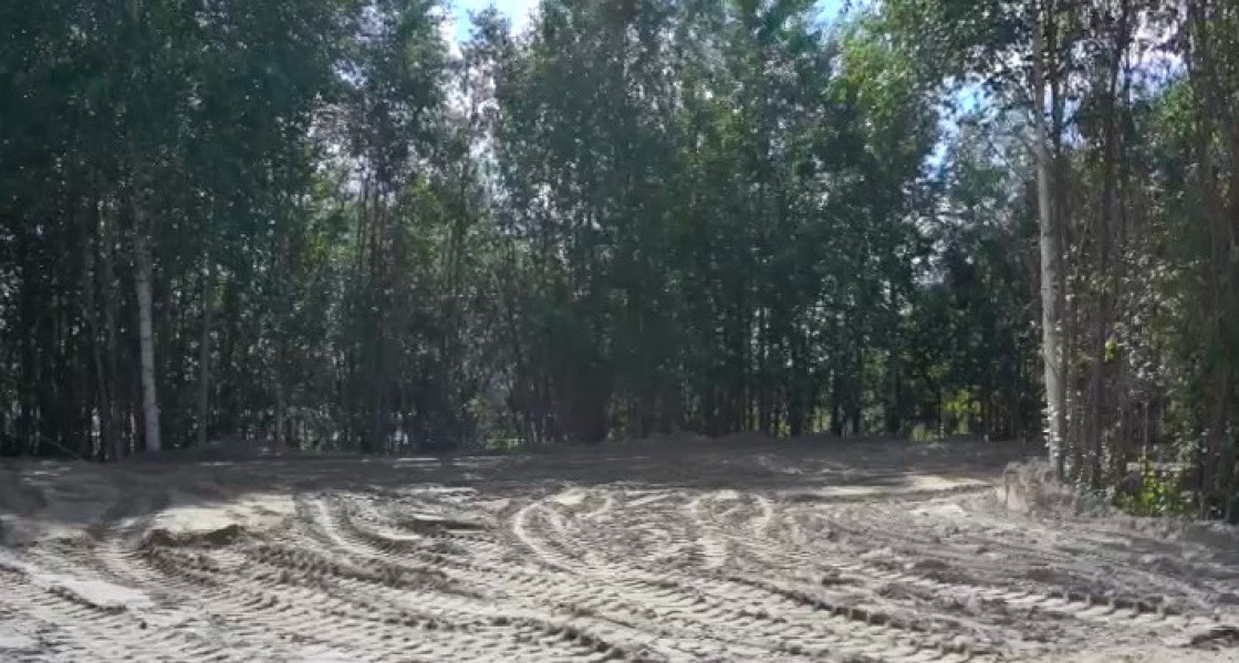 В Нижневартовске на месте строительства нового храма у озера вырубают деревья