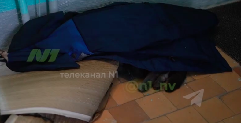 В Нижневартовске во время пожара погибли человек и котик