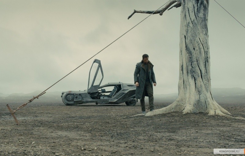 Бегущий по лезвию 2049 (2017)