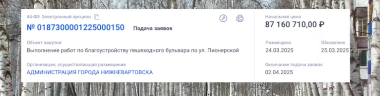 Власти Нижневартовска пожертвуют старыми березами ради нового бульвара