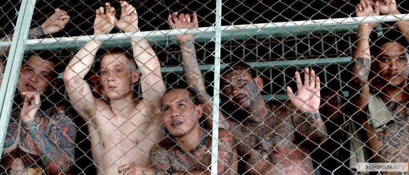 Бои без правил (2017)