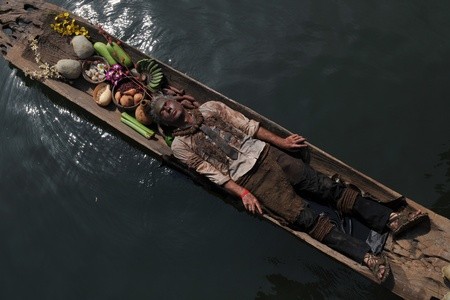 Джунгли (2012)