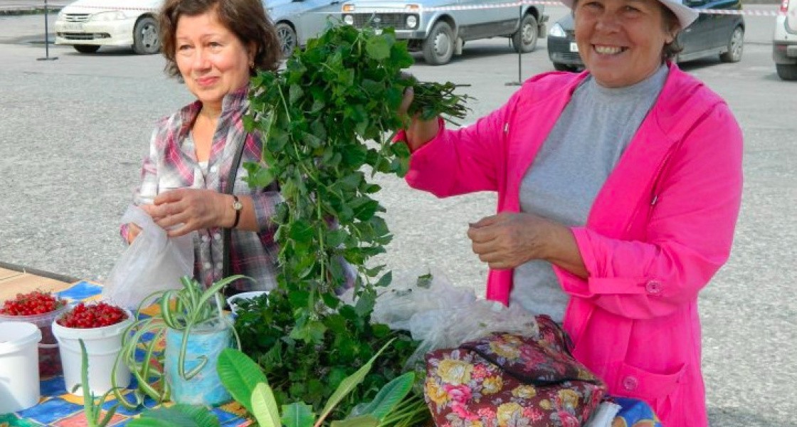 Овощи с грядки и свежие продукты: в Нижневартовске пройдет ярмарка «Праздник урожая»
