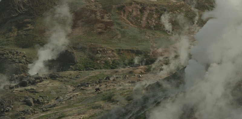 Земля медведей (2013)