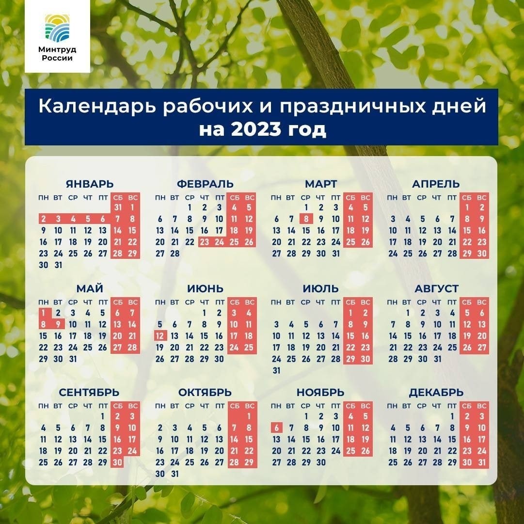 Стало известно, как россияне будут отдыхать в 2023 году