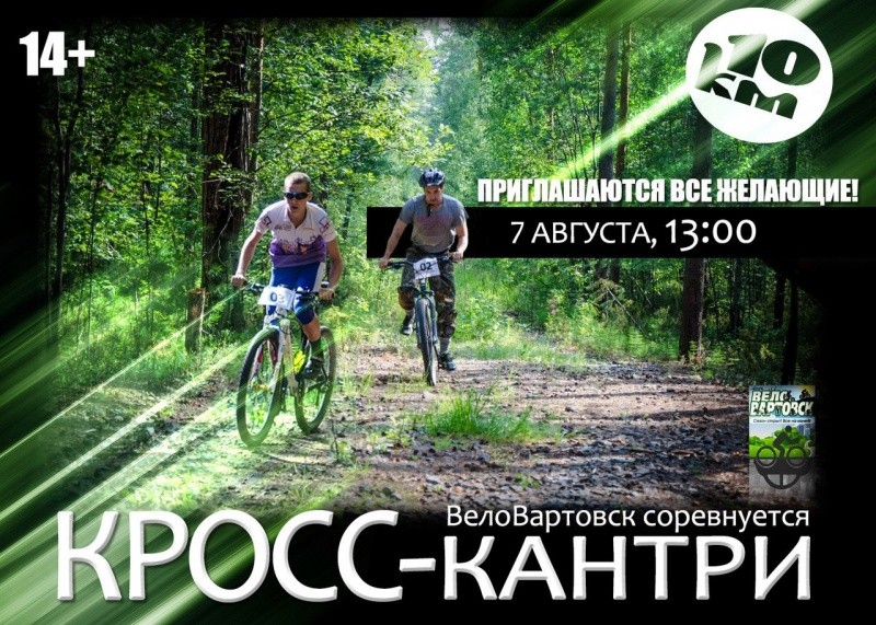 Погоня за локомотивом
