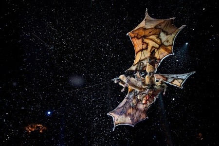 Cirque du Soleil: Сказочный мир в 3D (2012)