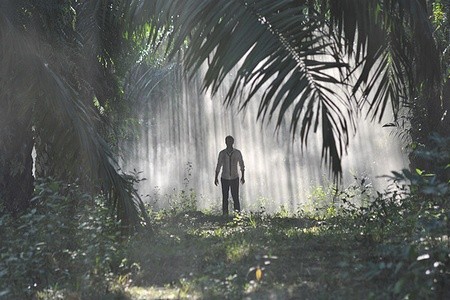 Джунгли (2012)