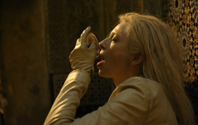 Выживут только любовники (2013)