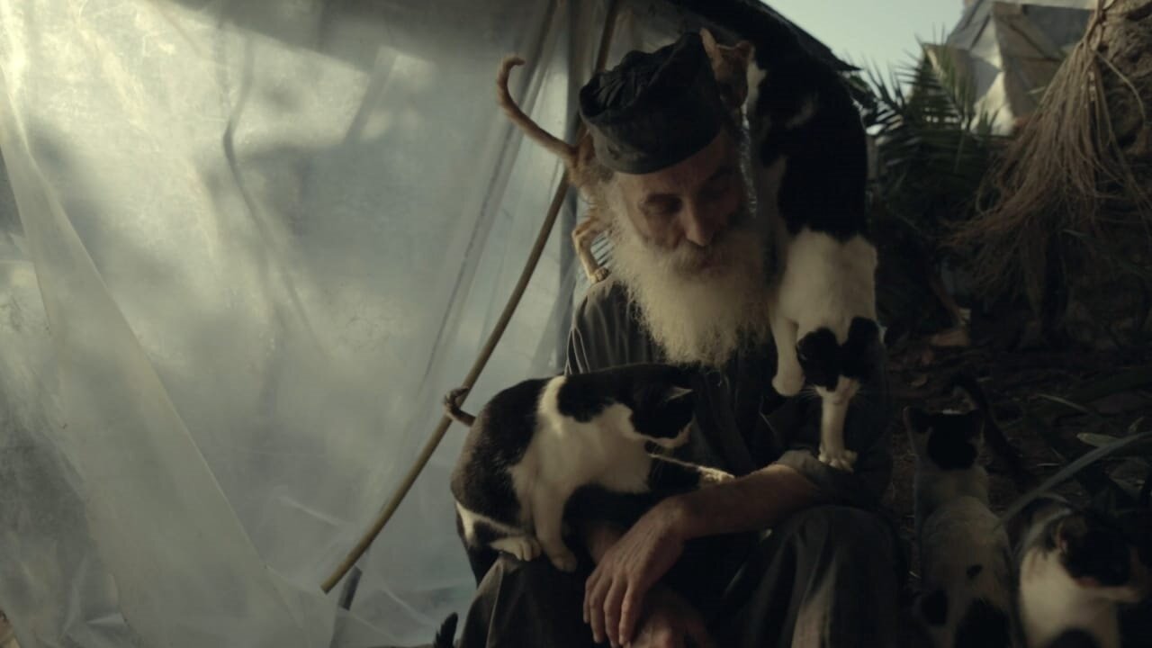 Где ты, Адам? (2019)
